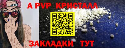 стафф Лесосибирск