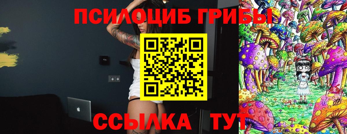Гуково  Псилоцибиновые грибы Psilocybe  Псилоцибиновые грибы Cubensis  Вход с VPN 